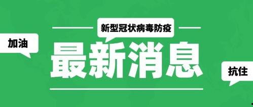 最新爆料模板大全图片,图片背后的秘密与趋势解析  第3张